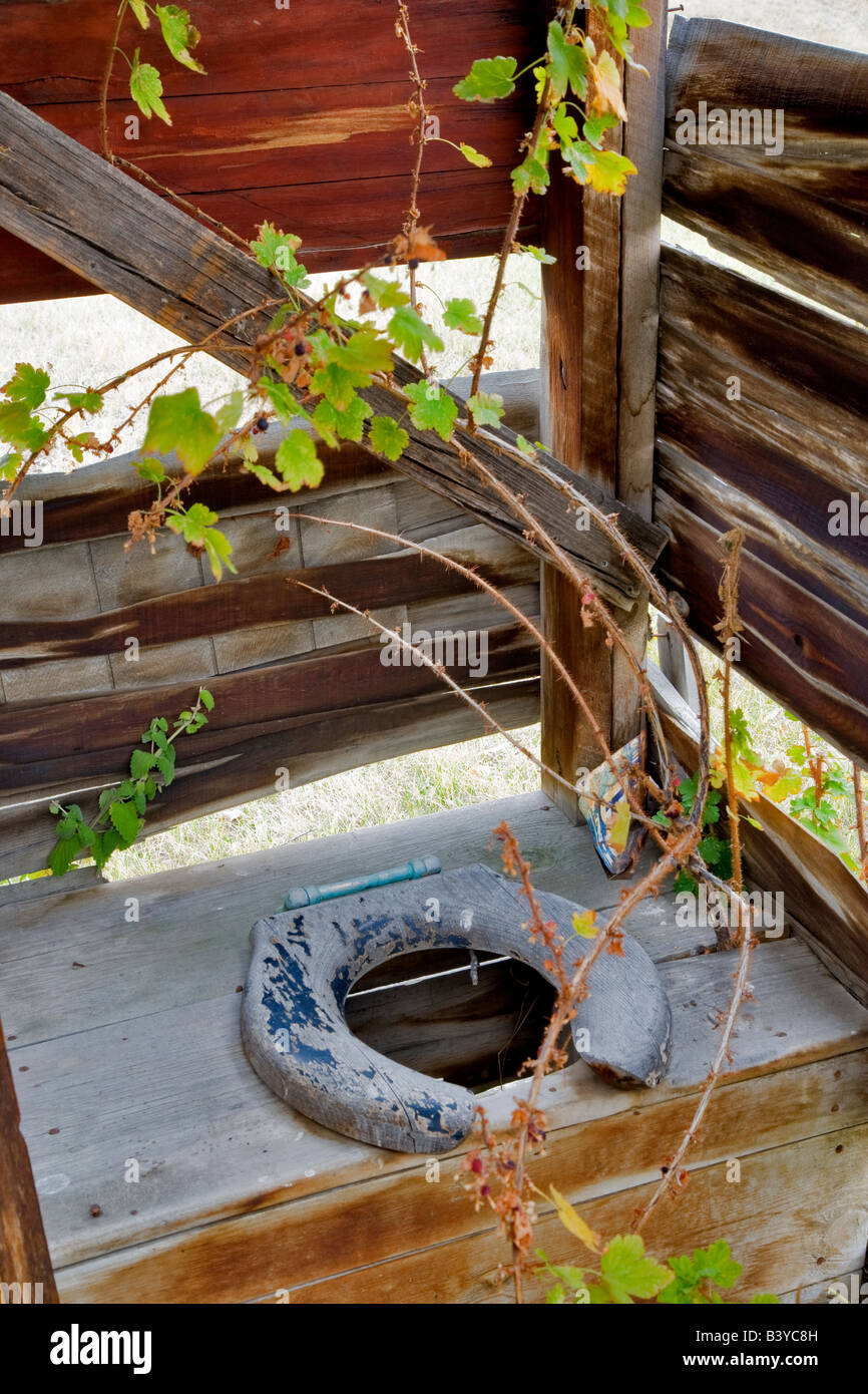 Overgrown outhouse Nevada City Montana Stock Photo