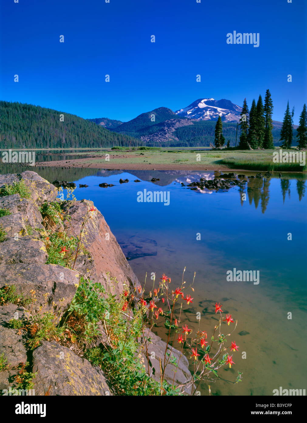 Sparks Lake South Sister Mountain and wildflowers Oregon Stock Photo