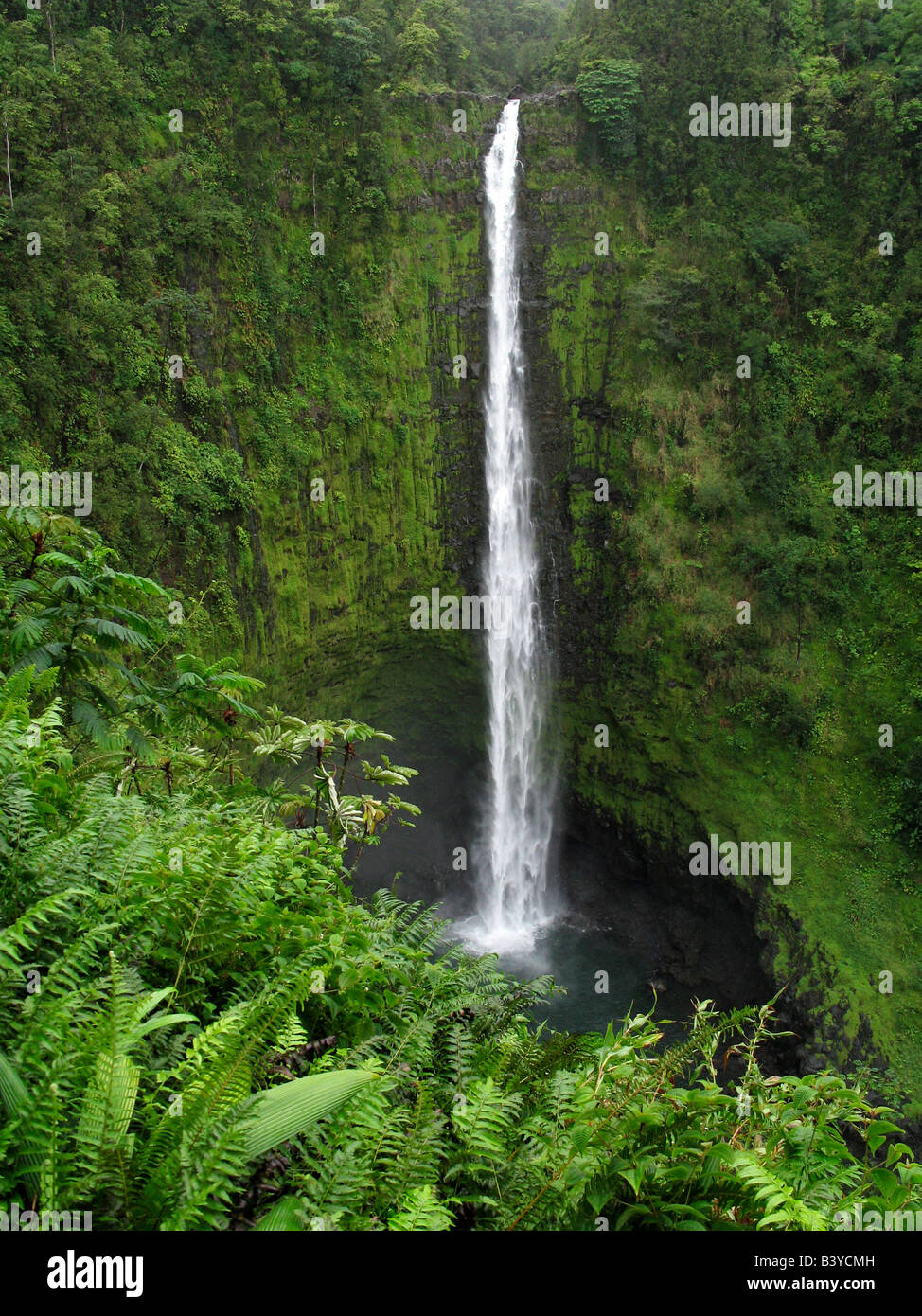 Akaka falls hilo hi-res stock photography and images - Alamy