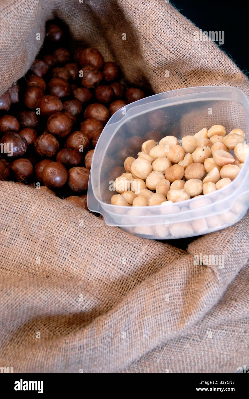 USA, Hawaii, Big Island, Hilo. OK Farms, Macadamia nuts Stock Photo Alamy