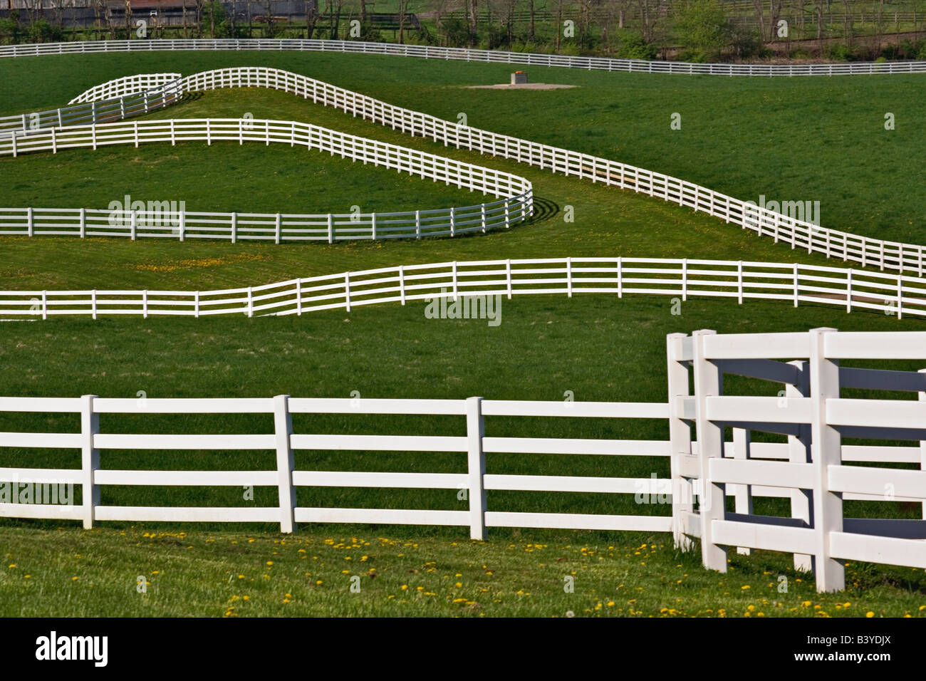 White fence winding across Calumet horse farm, Lexington, Kentucky Stock Photo