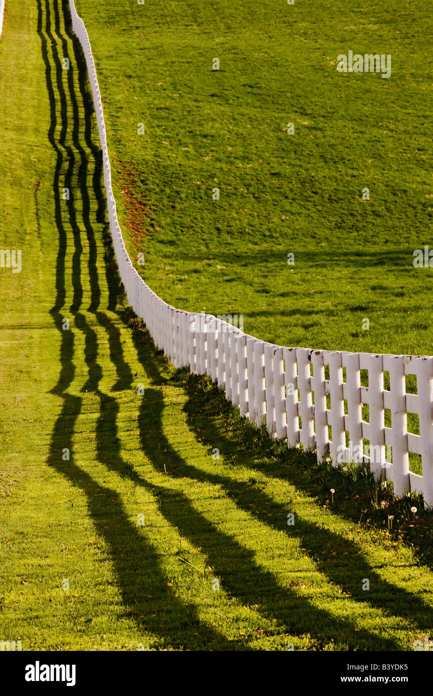 White wooden fence running across horse farm at sunset, Calumet horse farm, Lexington, Kentucky Stock Photo