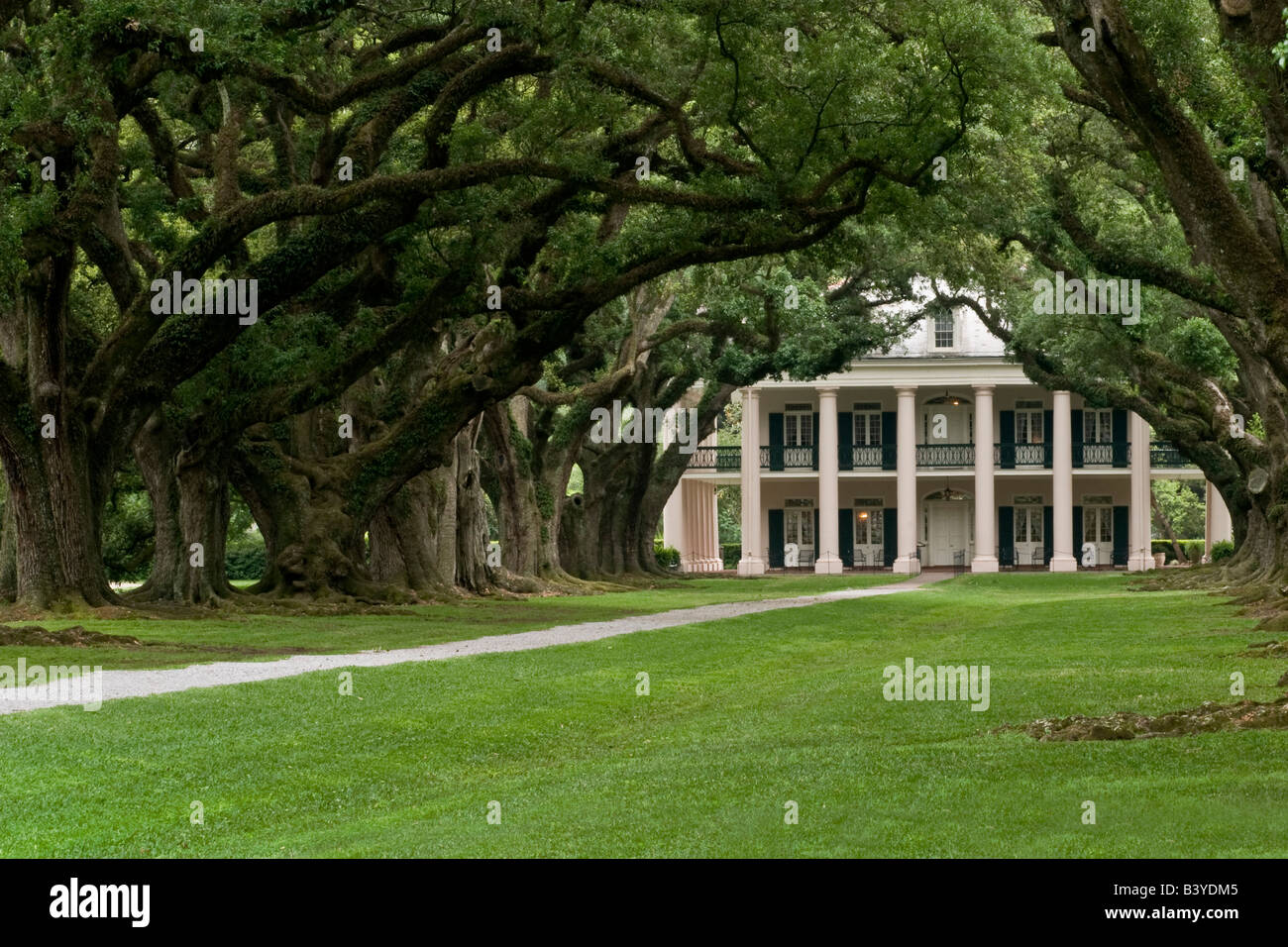 USA, Louisiana, St. James Parish, Vacherie. A classic view of Oak Alley