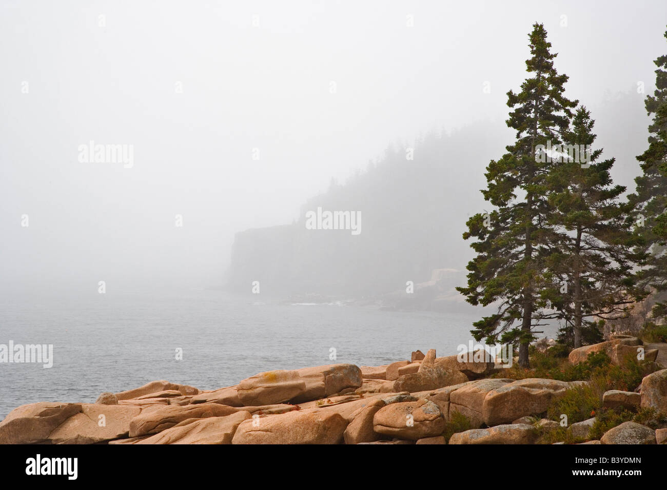 Granite bouders and distant Otter Cliff, among fog along coastline of Acadia National Park, Maine Stock Photo