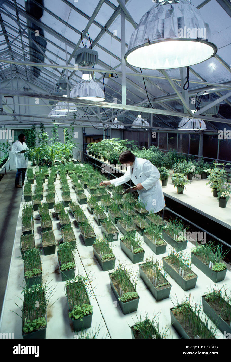 Scientists working in the greenhouse at a research and development