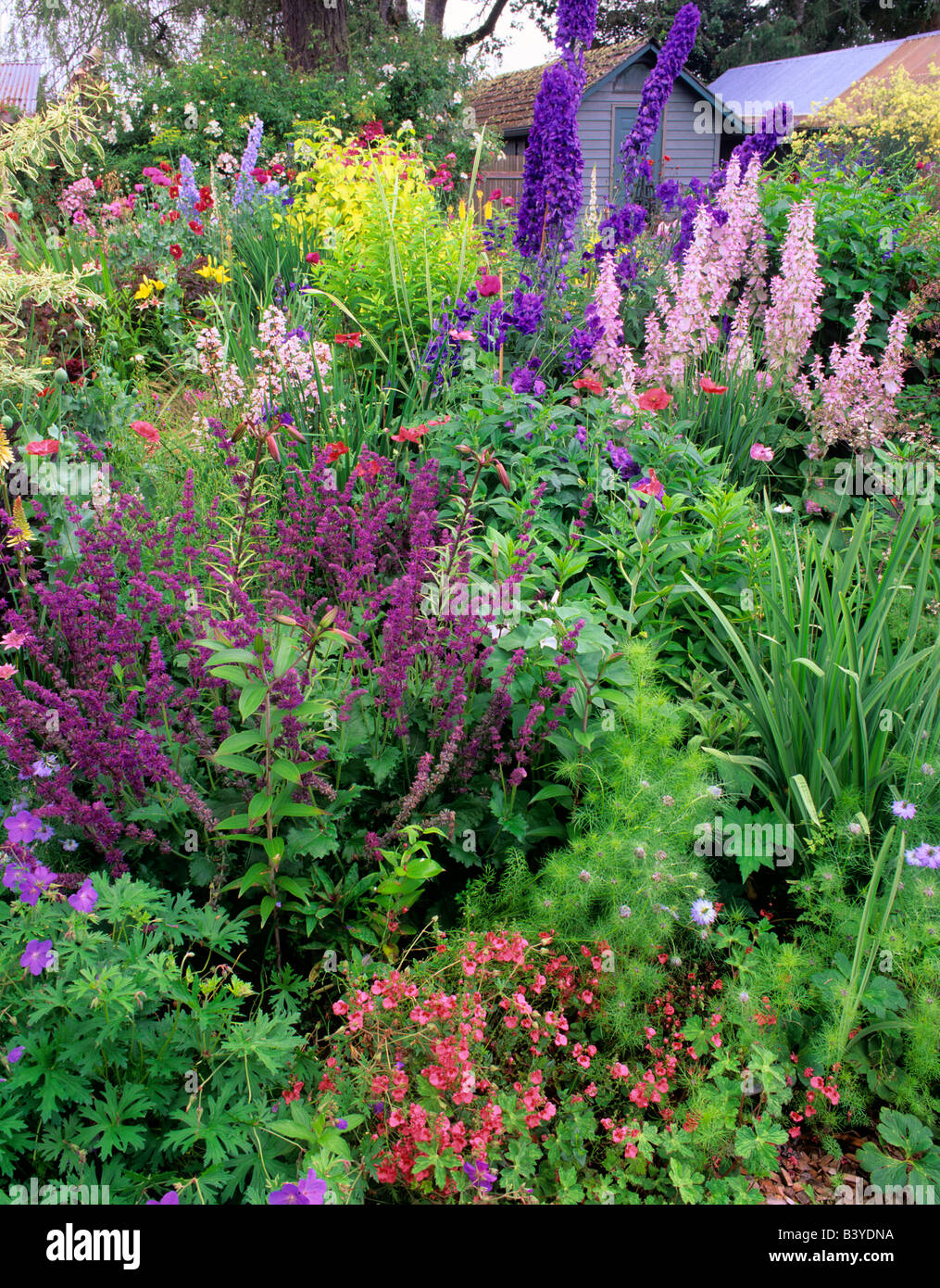 Flower gardens at Northwest Garden Nursery Eugene Oregon Stock Photo