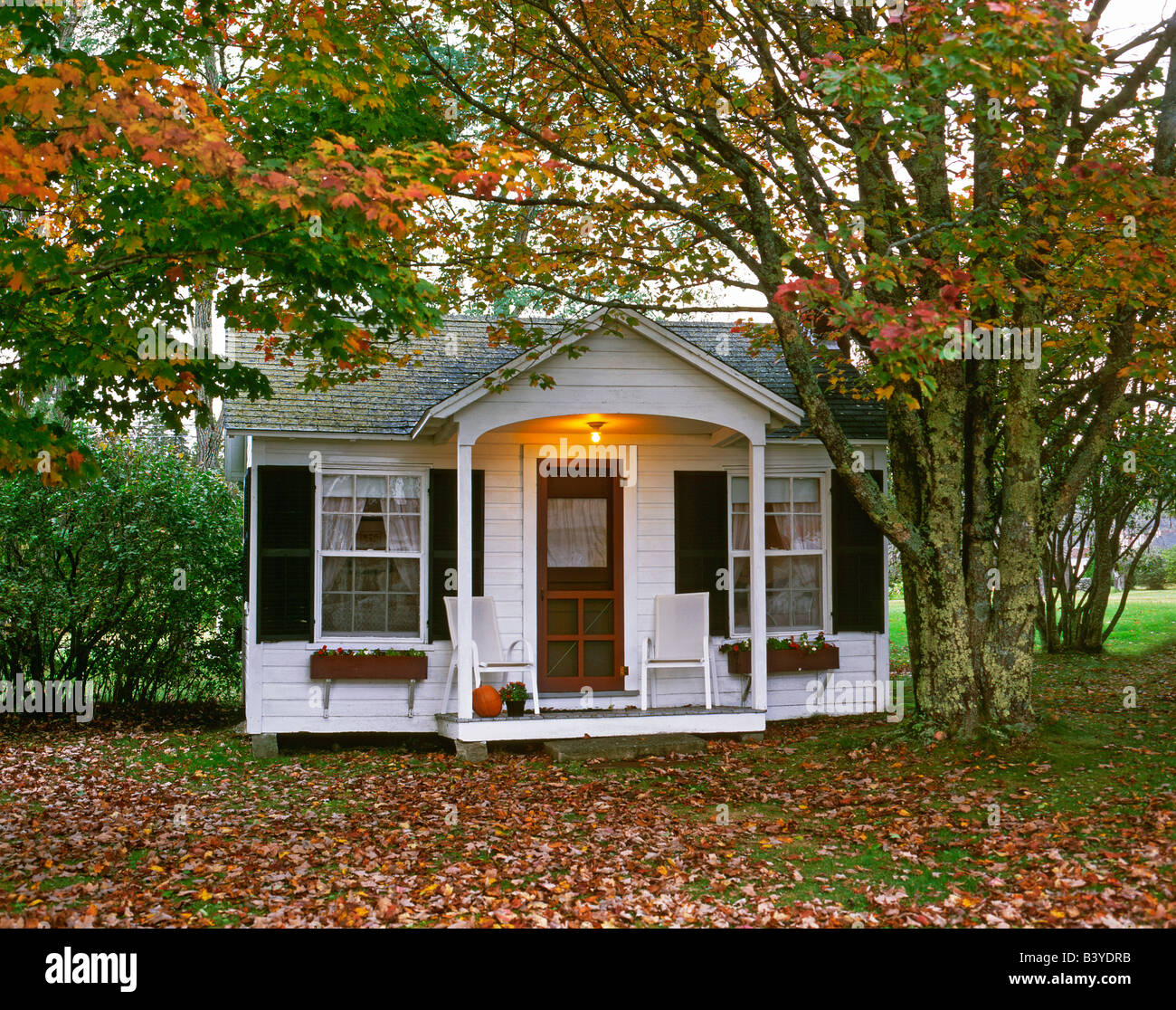 Usa Maine Country Cottage Near Bar Harbor Stock Photo 19657887