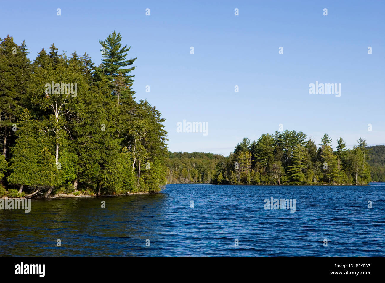 The shoreline on Prong Pond Maine USA Stock Photo Alamy