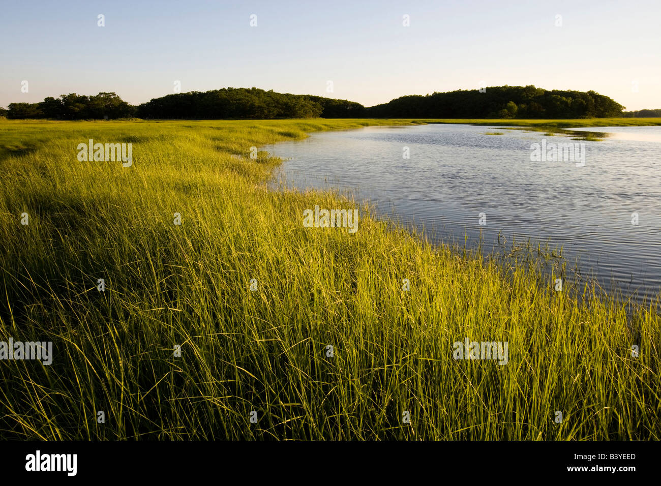 Early eveniing on the salt marsh in Plum Island Sound.  Sawyer's Island, Rowley, Massachusetts. Stock Photo