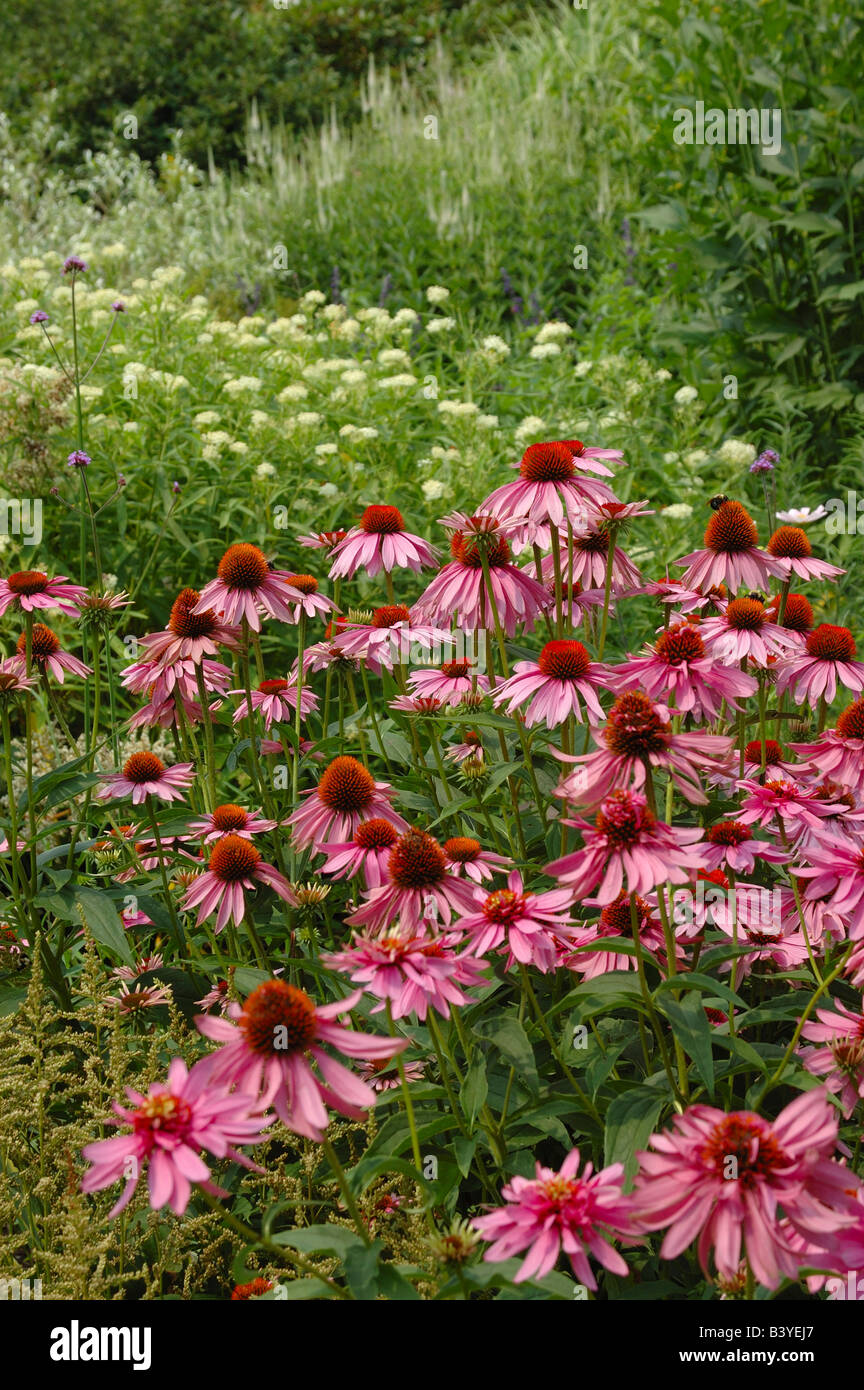 U S A Massachusetts Boylston Tower Hill Botanic Garden Stock