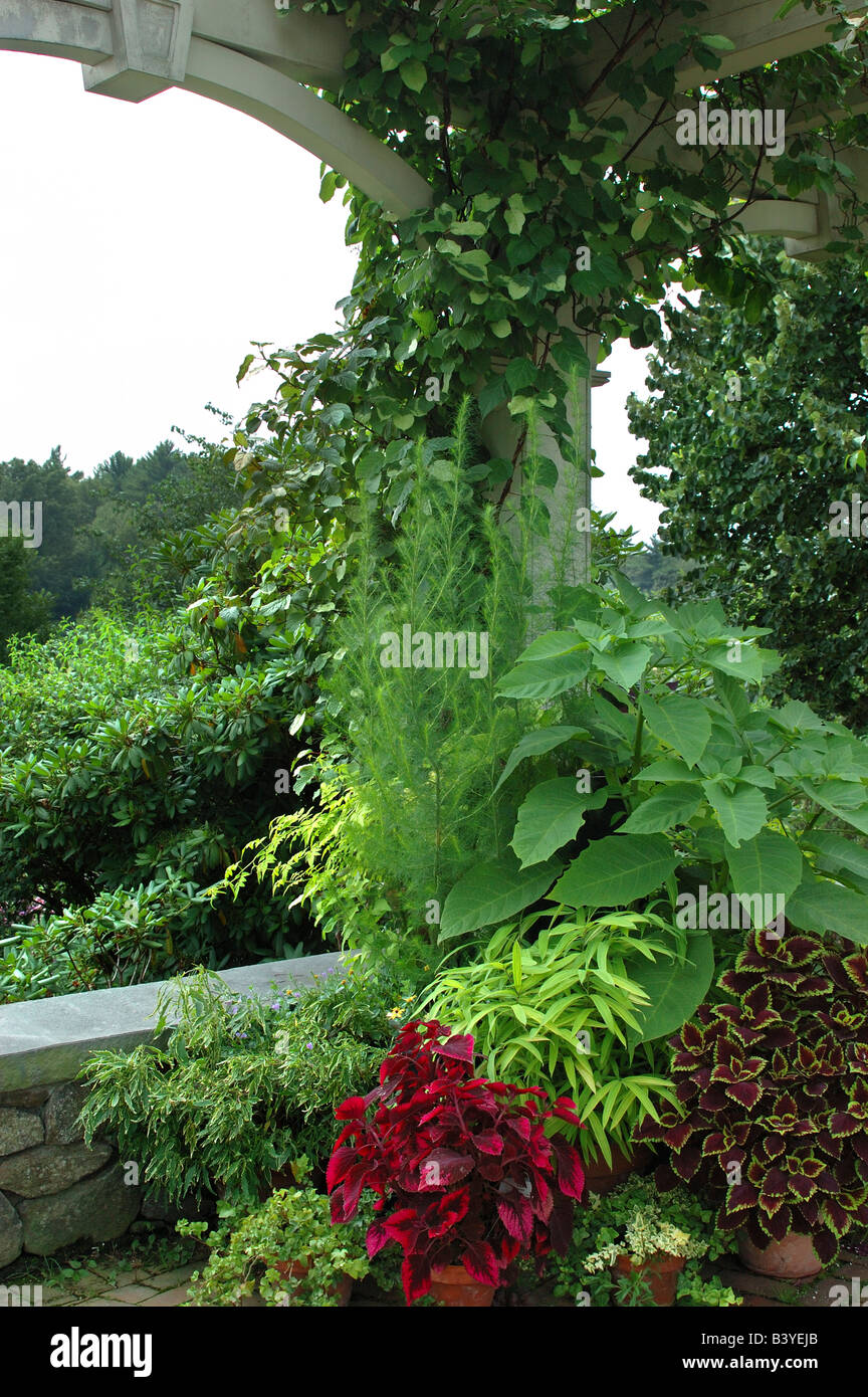 U S A Massachusetts Boylston Tower Hill Botanic Garden Arbor
