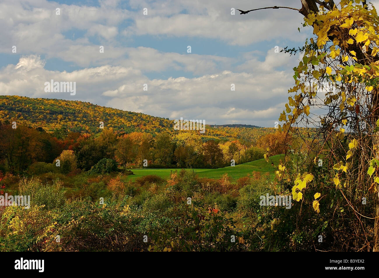North America, USA, Massachusetts, Greenfield. A bright autumn
