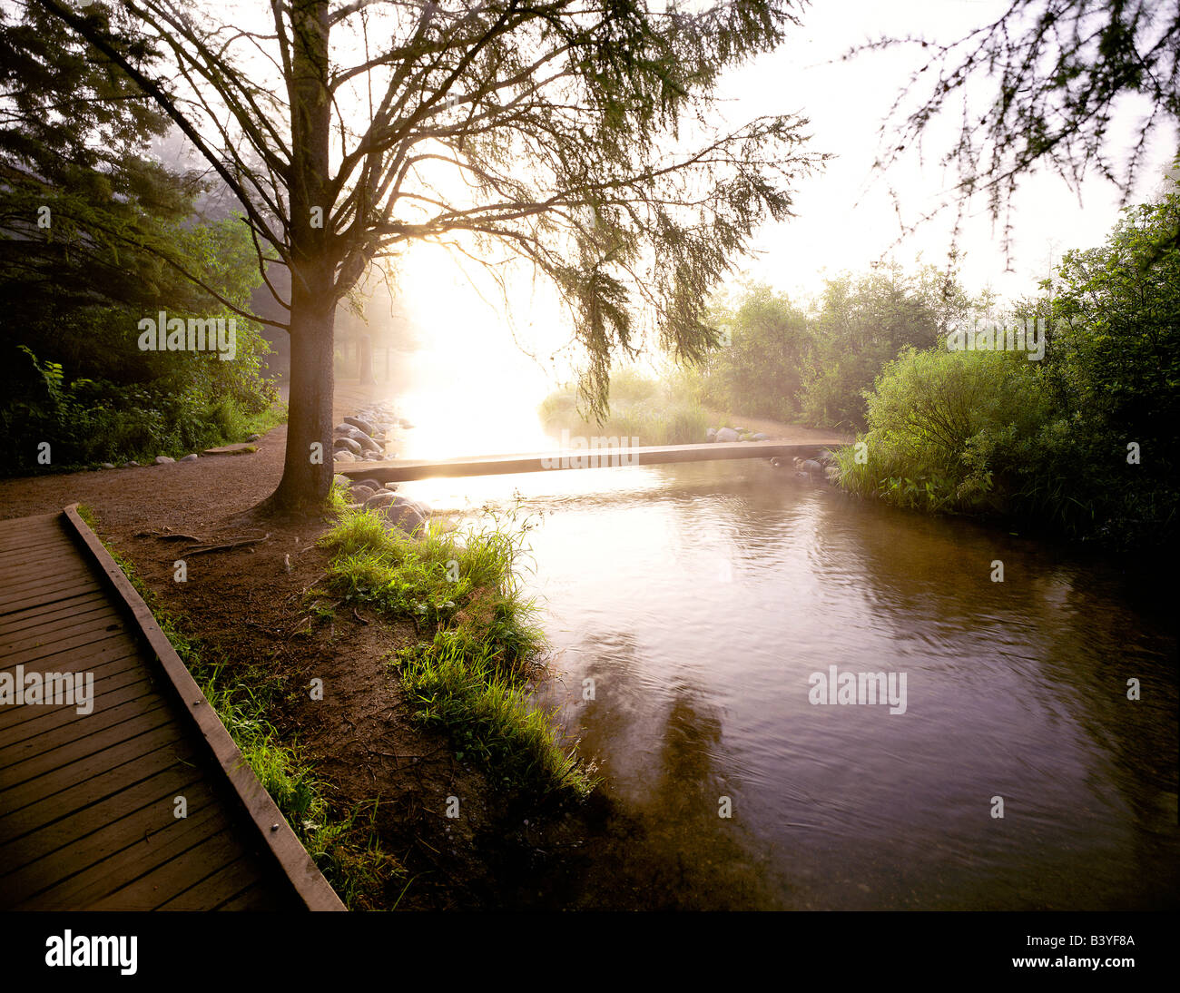 USA, Minnesota, Itasca State Park, Mississippi Headwaters Stock Photo ...