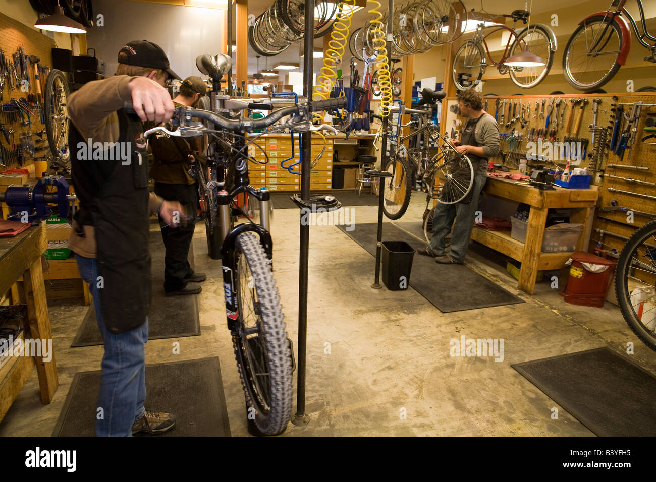 Bike shop online montana