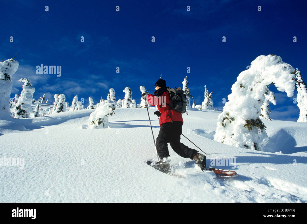 Snowshoeing along the snowghosts in the Whitefish Range near Whitefish