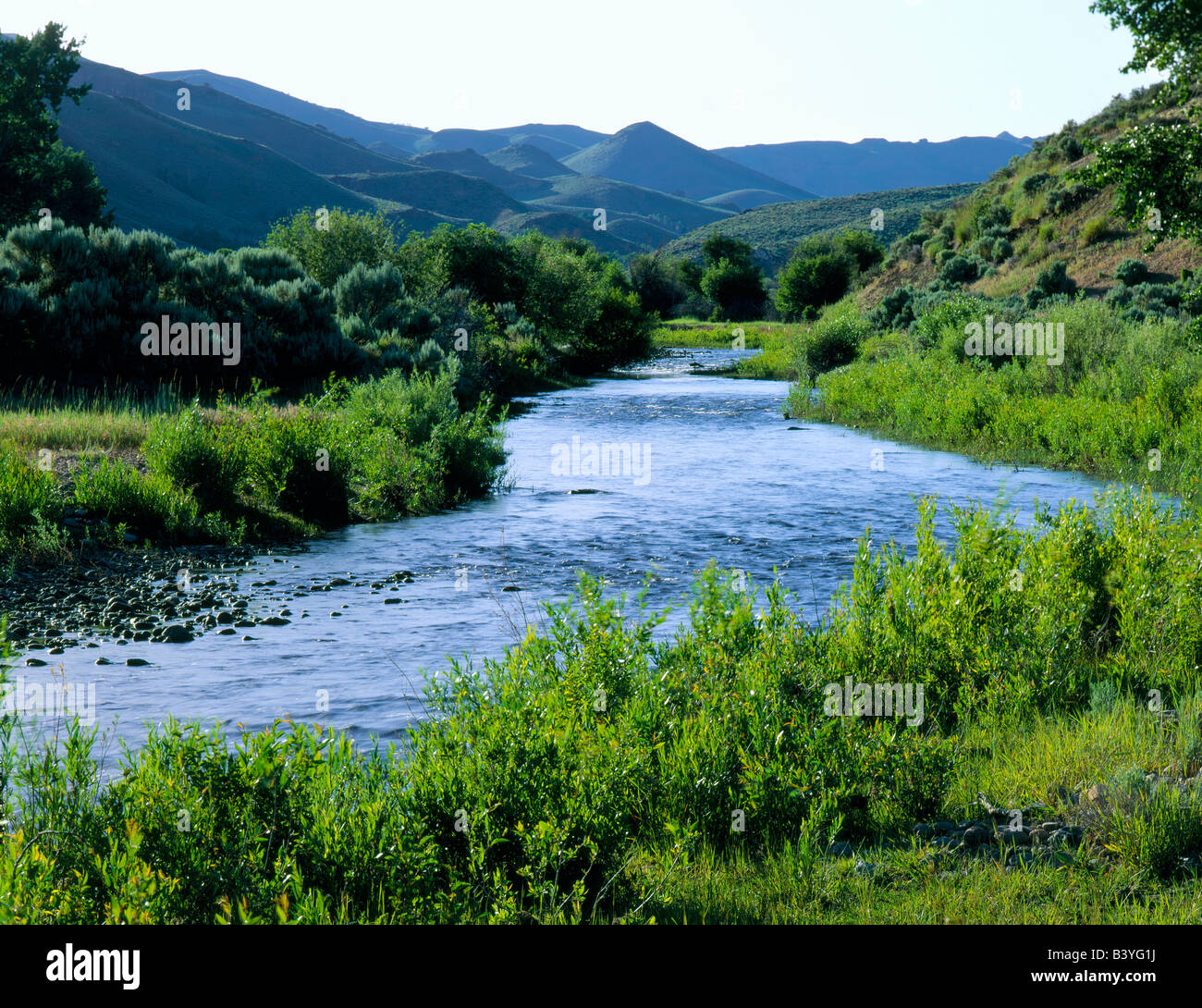 NEVADA. USA. Marys River in foothills of Jarbidge Mountains. BLM public