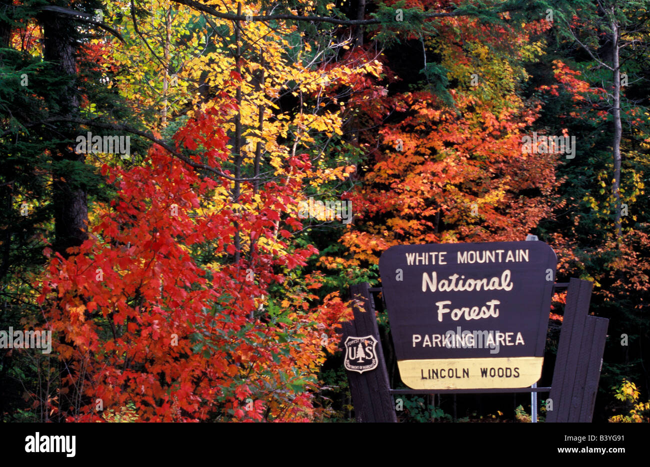 North America, United States, New Hampshire. White Mountain National Park sign. Stock Photo