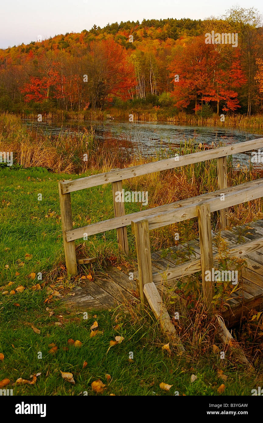 North America, USA, New Hampshire, Marlow. A small footbridge and