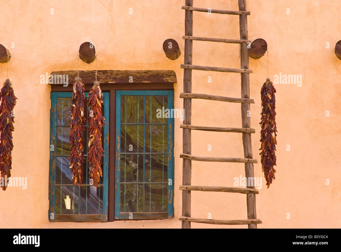 Chilli Ladder USA, New Mexico, Taos. Typical adobe structure with ladder and chili ...