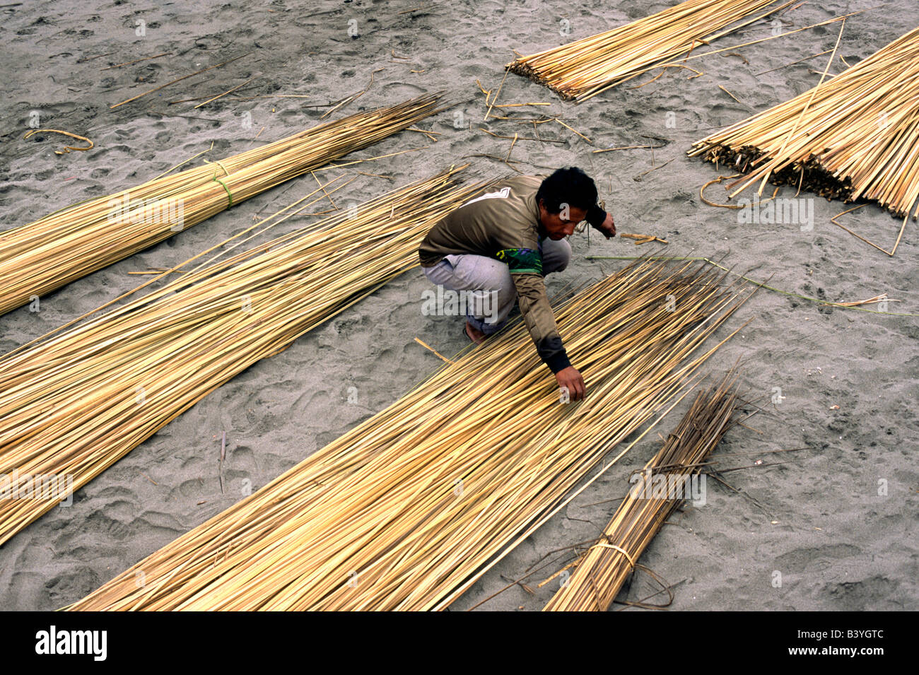 Totora reeds hi-res stock photography and images - Alamy