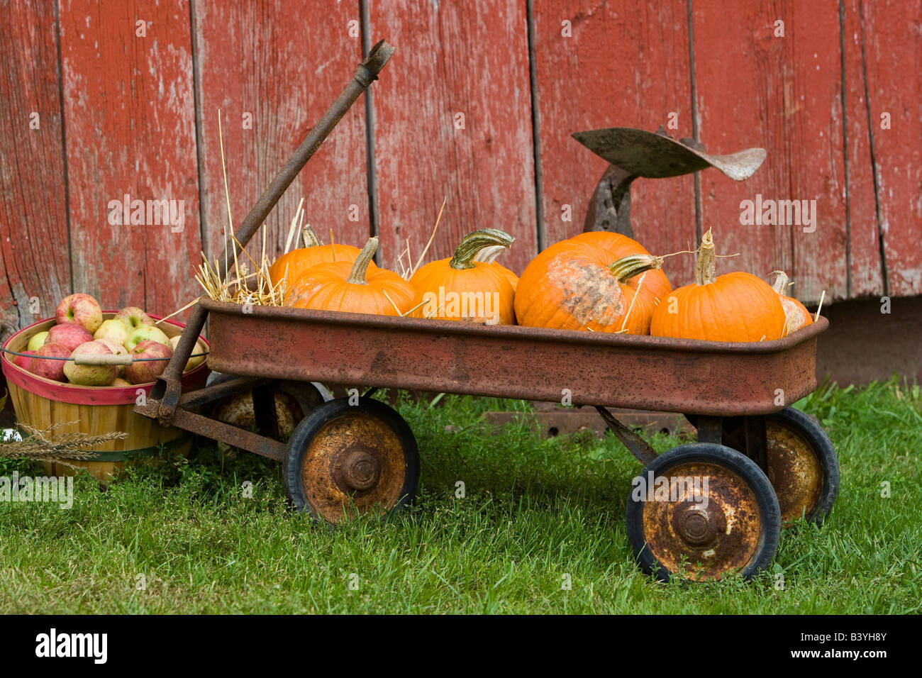 Pumpkins in old wagon Stock Photo - Alamy
