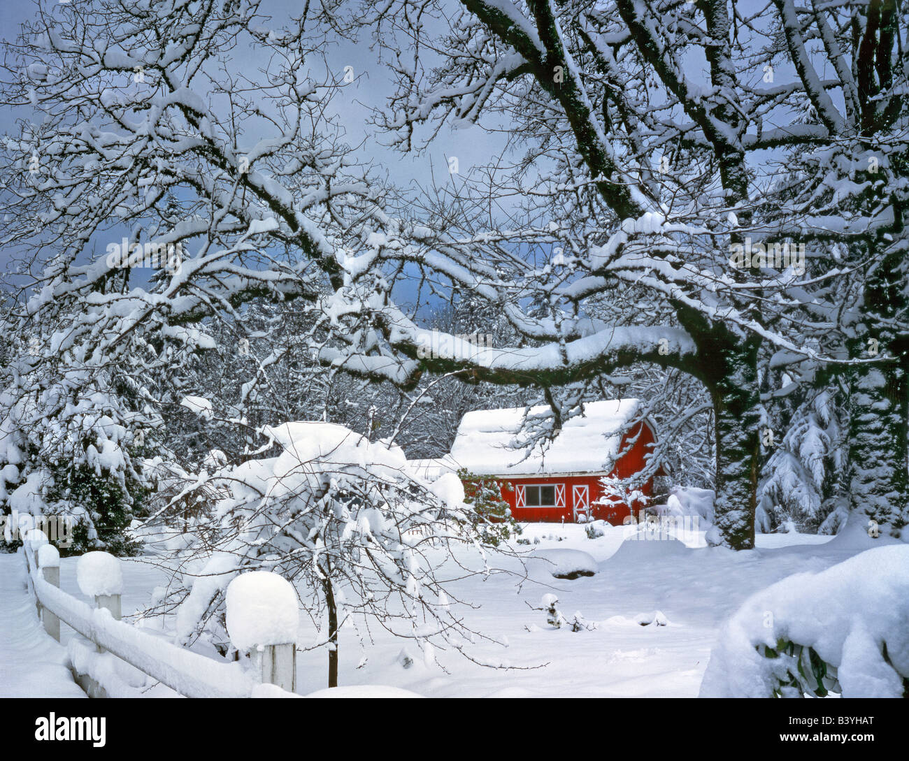 USA, Oregon, Clackamas County. Fresh snow covers landscape and red barn. Stock Photo