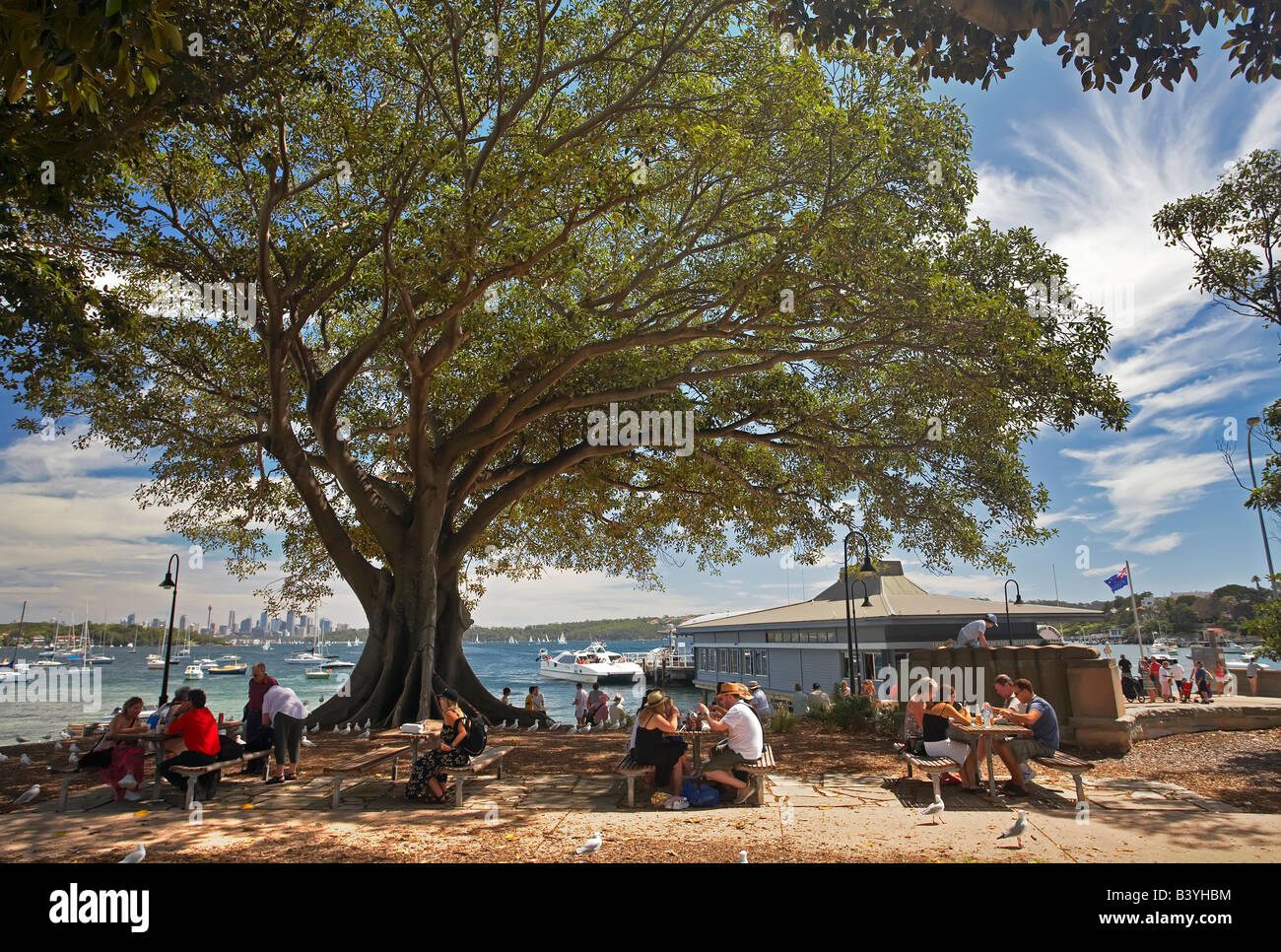 Watson Bay Sydney New South Wales Australia Stock Photo Alamy