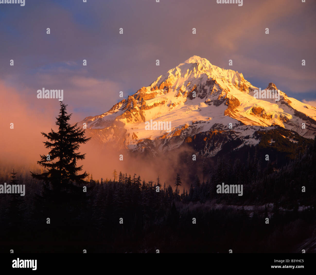 USA, Oregon, Mt. Hood National Forest. Rolling fog at sunset as viewed