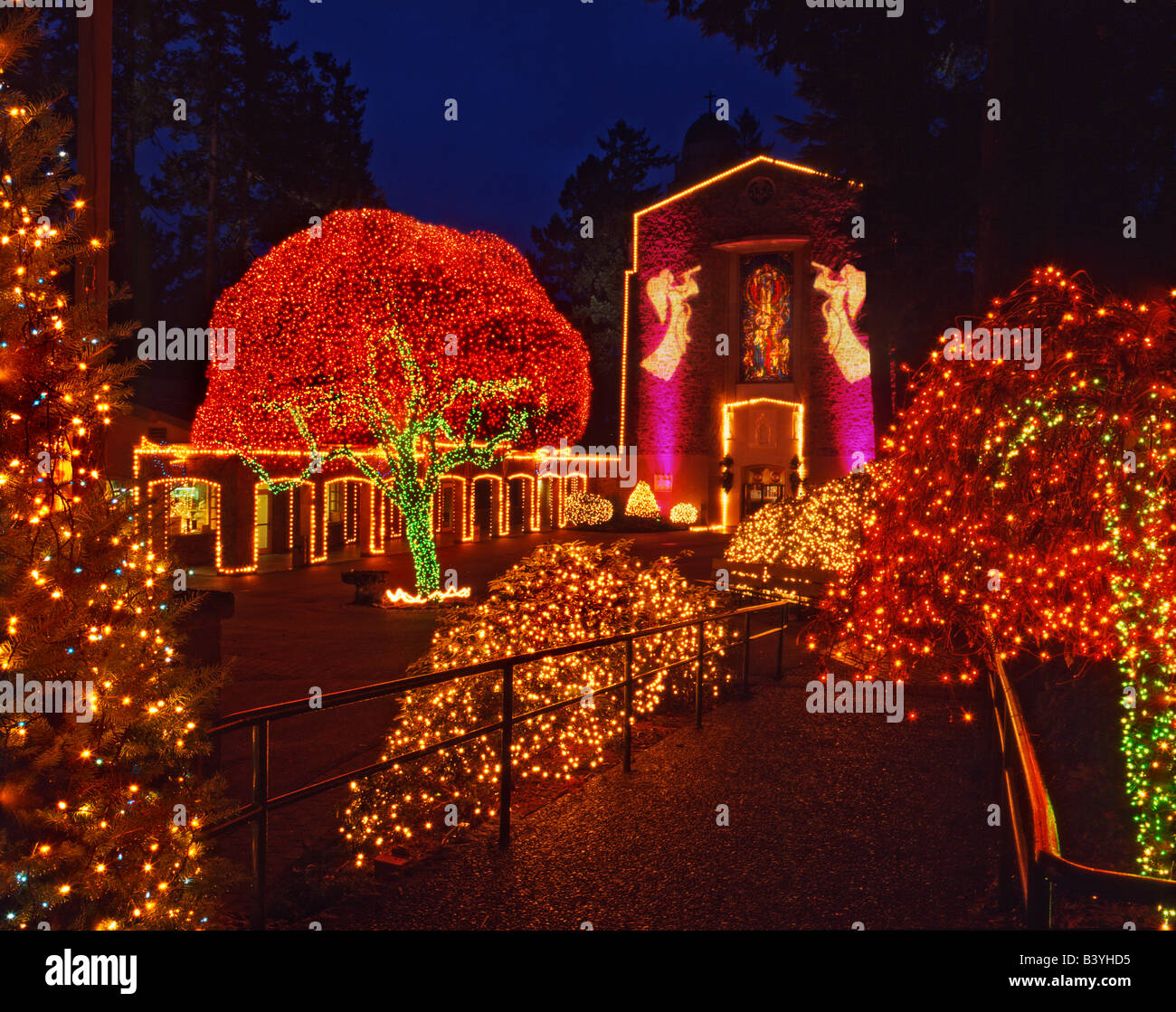 USA, Oregon, Portland. Christmas light display at The Grotto Sanctuary