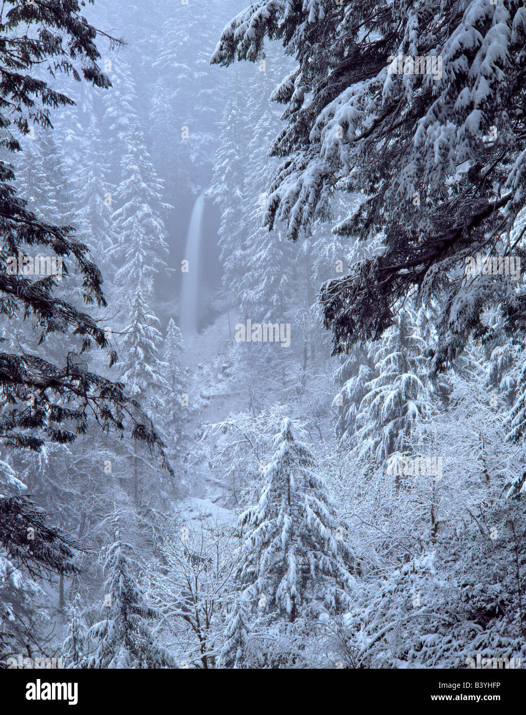 USA, Oregon, Silver Falls State Park. North Falls in winter snow Stock