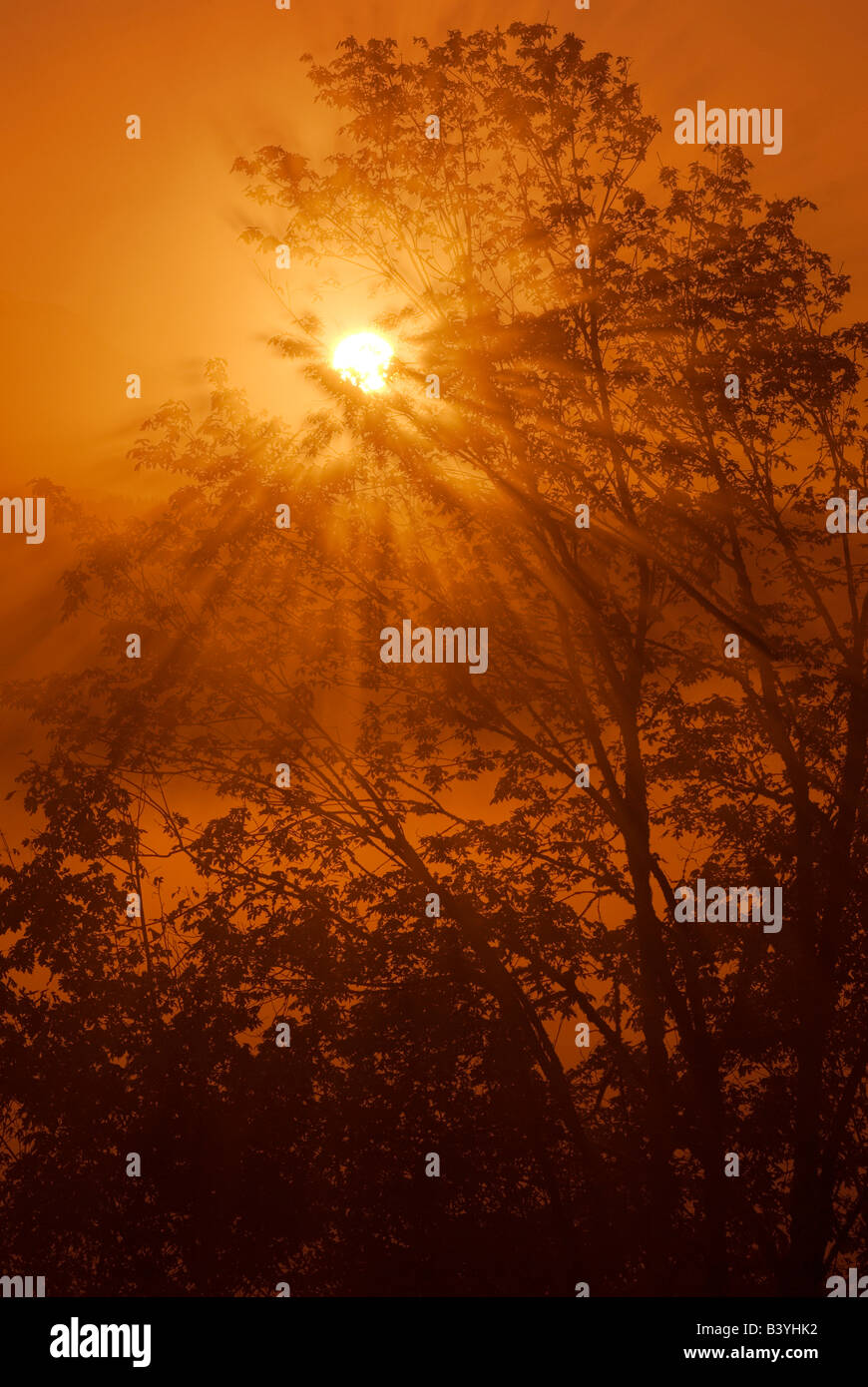 Boring oregon hires stock photography and images Alamy