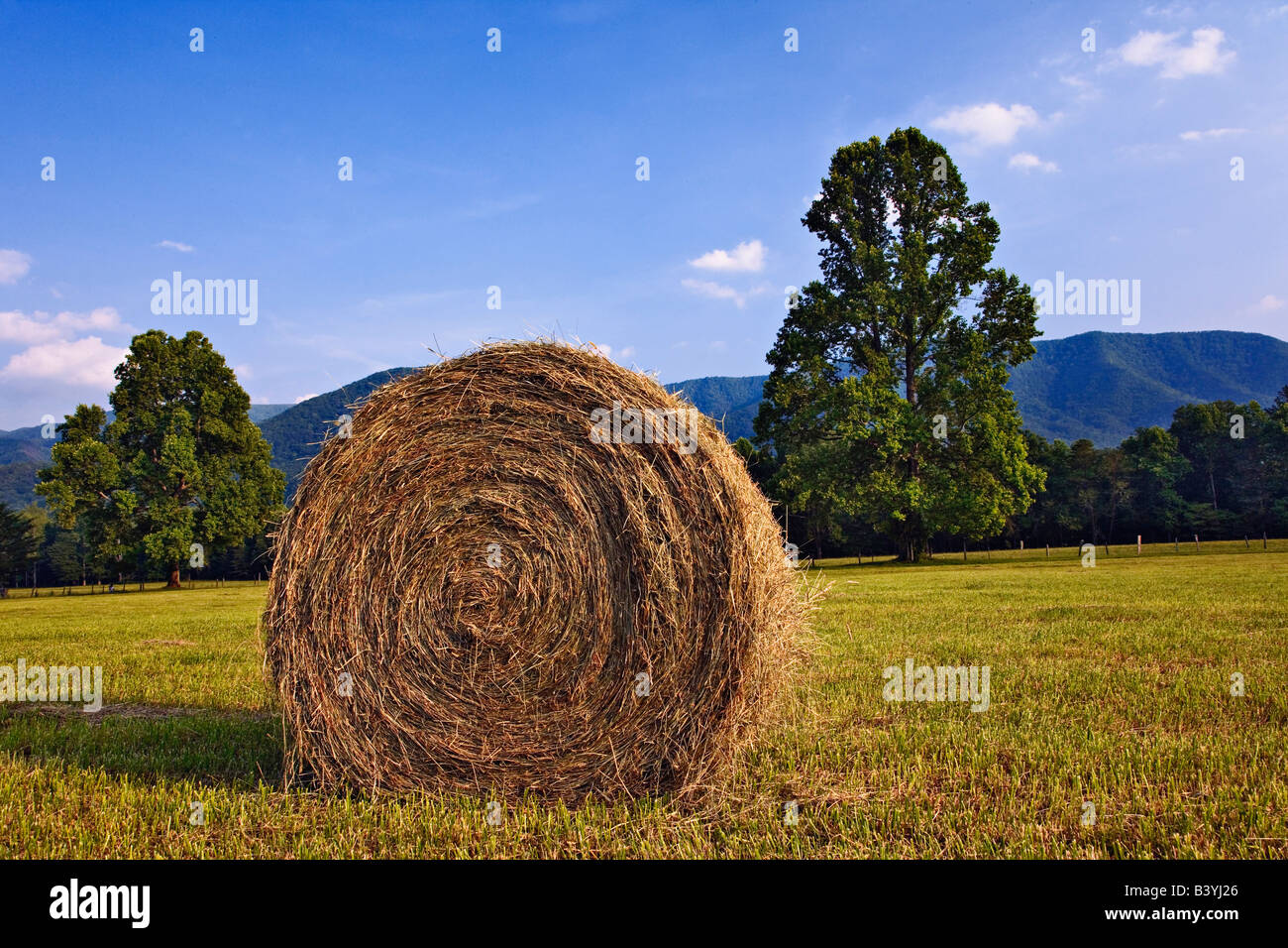 Rolled hay bale, Cades Cove, Great Smoky Mountains National Park, Tennessee Stock Photo