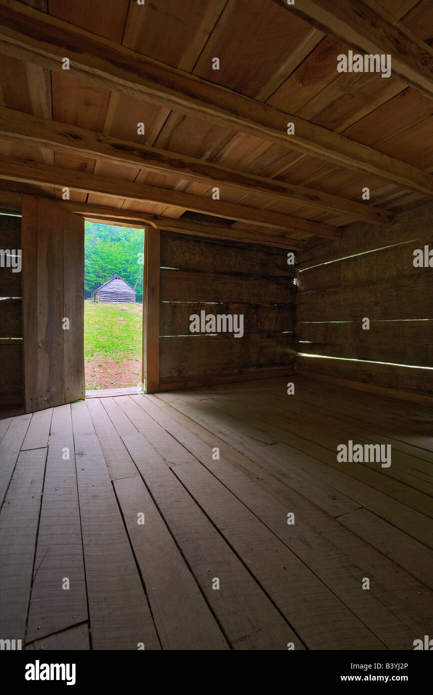 View from inside Alex Cole cabin, Jim Bales Place, Roaring Fork Motor