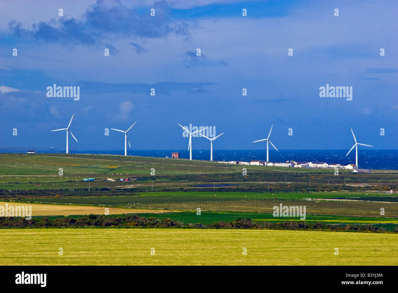 Wind farm near Dounreay Sutherland, Scotland UK 2008 Stock Photo