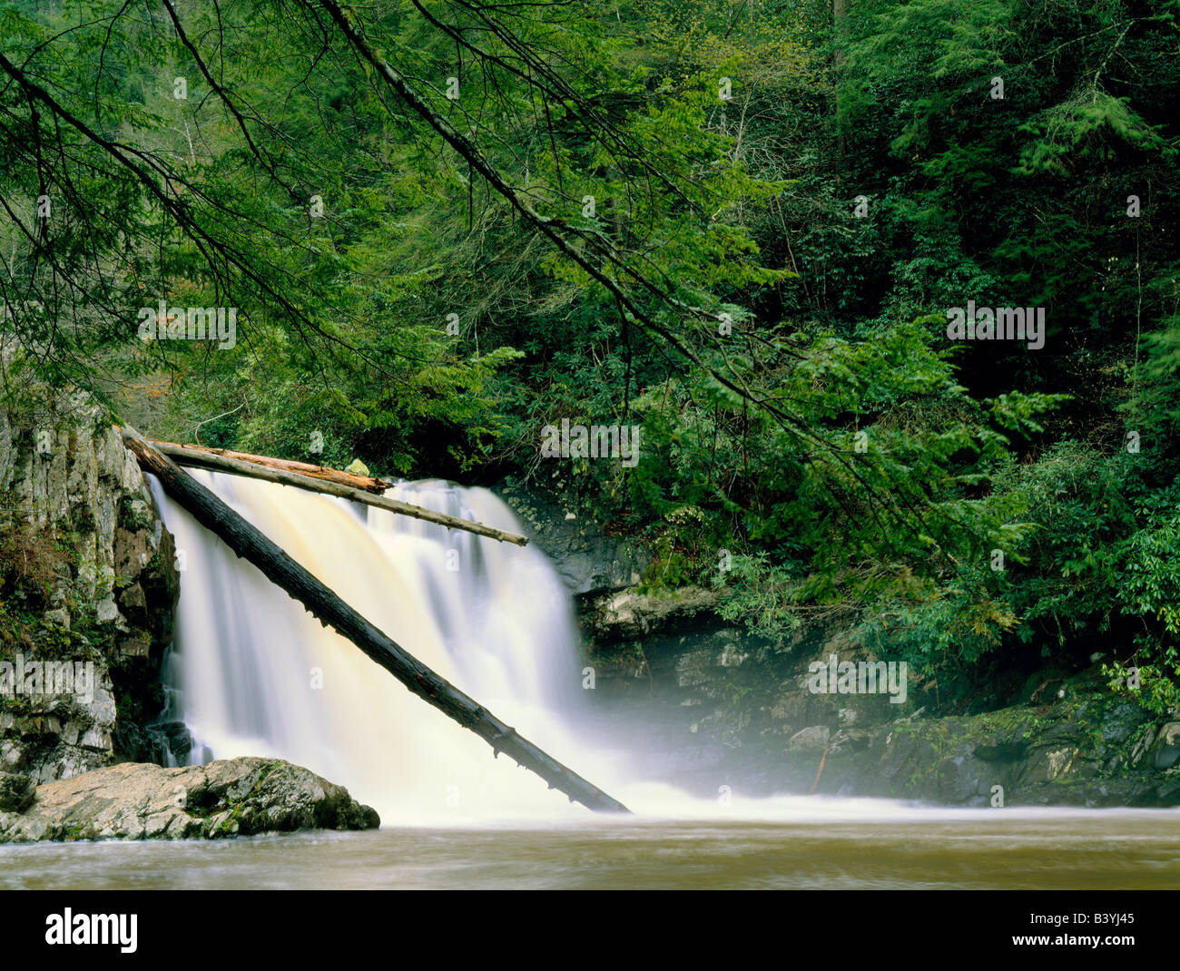 GREAT SMOKY MOUNTAINS NATIONAL PARK, TENNESSEE. USA. Abrams Falls. Abrams Creek. Stock Photo