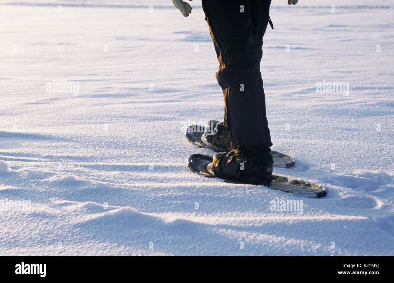 Snow shoes in action on frozen lake at Jotka, Arctic Circle, Northern  Norway. Worn by Dr Sean Hudson Stock Photo - Alamy