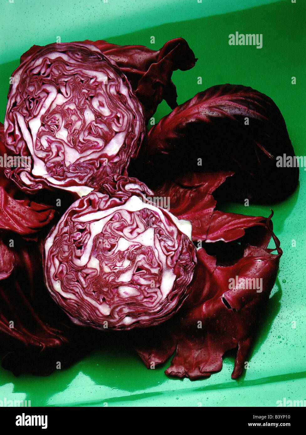 botany, red cabbage, (Brassica oleracea), Brassicaceae, Cruciferae, Dilleniidae, Capparales, vegetable, vegetables, halved, half Stock Photo