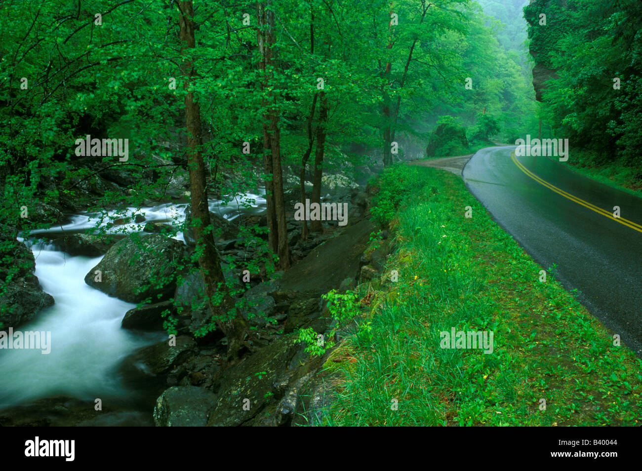 Great Smoky Mountains NP Tennessee USA, by Bill Lea/Dembinsky Photo Assoc Stock Photo
