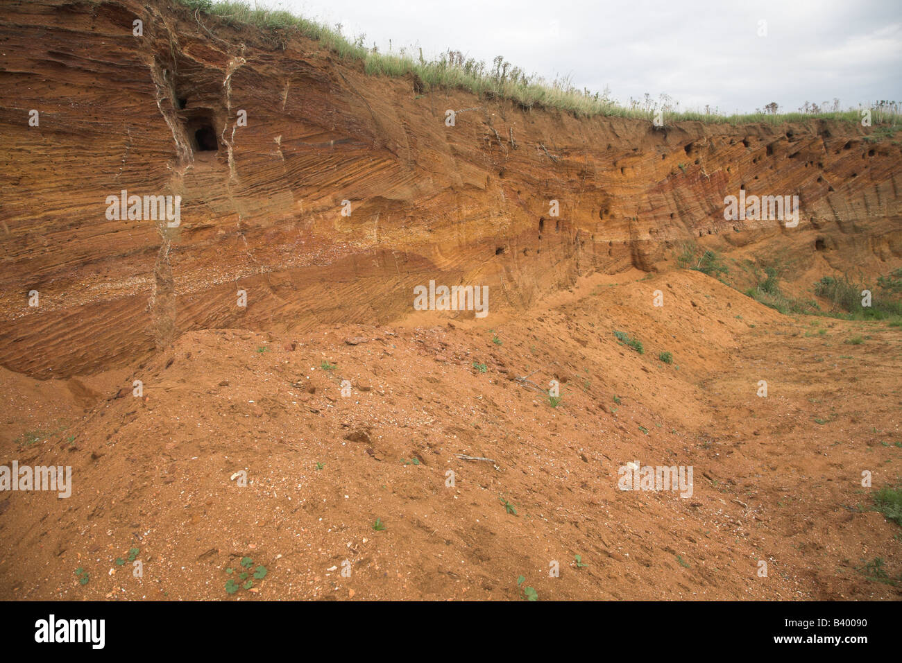Red crag rock deposits with shells and cross bedding exposed at a quarry, Buckanay Pit, near Alderton, Suffolk, England Stock Photo