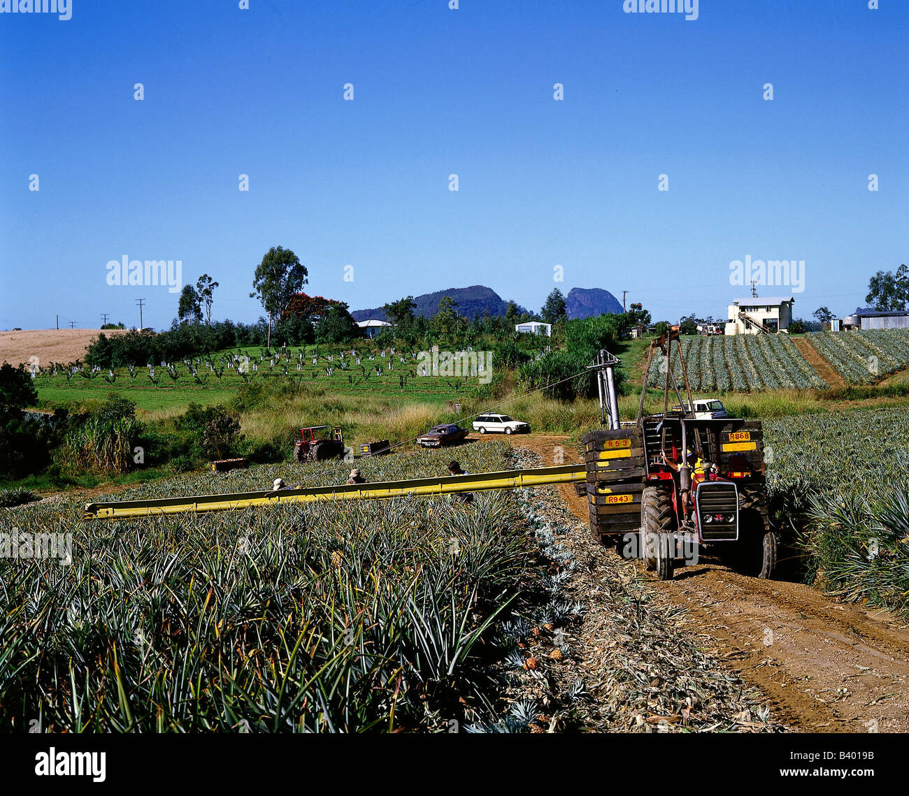 geography / travel, Australia, Queensland, farming / agriculture