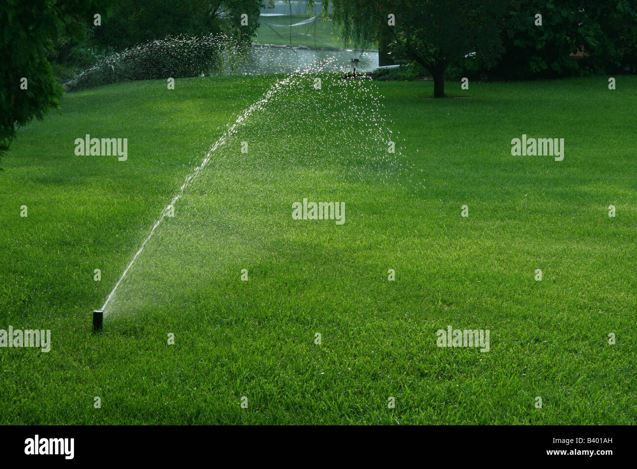 Lawn being watered, USA Stock Photo