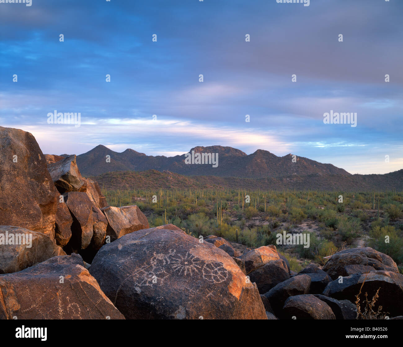 Signal hill petroglyphs Saguaro National Park Arizona USA Stock Photo