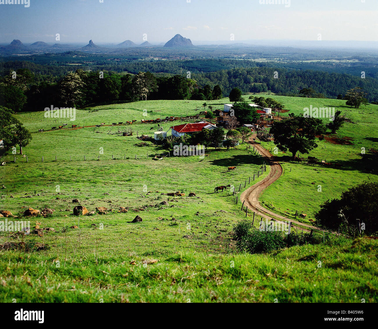 geography / travel , Australia, Queensland, farming / agriculture, landscape, landscapes with farm at Maleny, meadows, pastures, Stock Photo