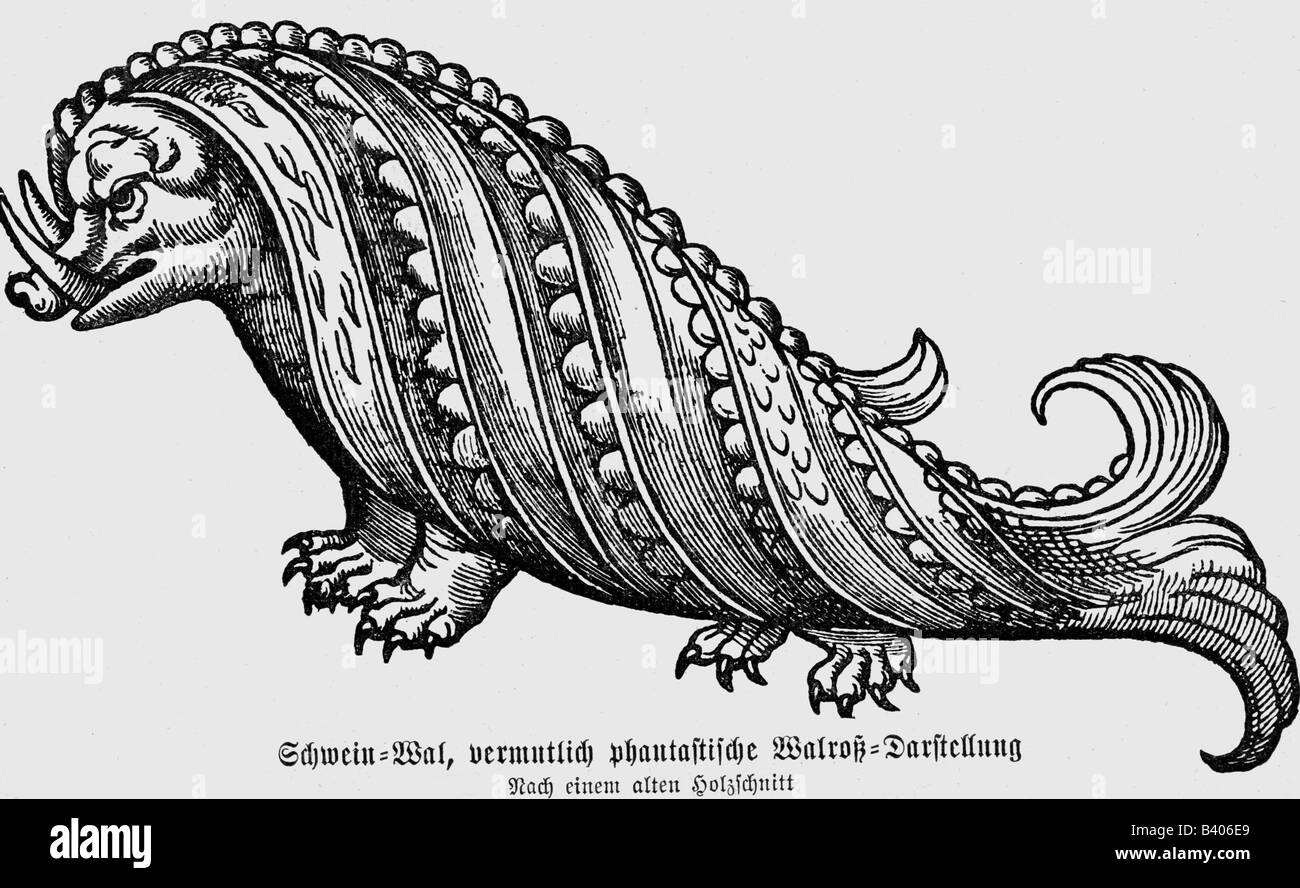 superstition, mythical creatures, hog wale, woodcut, 'Historia de Gentibus Septentrionalibus' by Olaus Magnus, Rom, 1555,  , Stock Photo