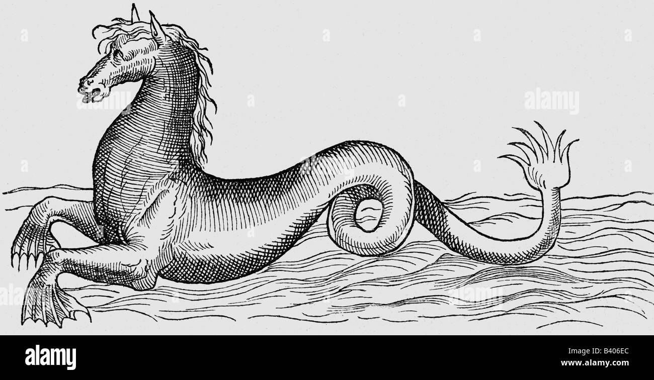 superstition, mythical creatures, 'sea horse' ('Hippocamp'), woodcut, 'De aquatilibus' by Petri Belloni, Paris 1580, , Stock Photo