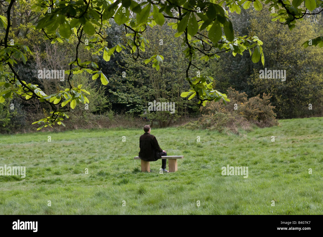 Lone man sitting on park bench Stock Photo - Alamy
