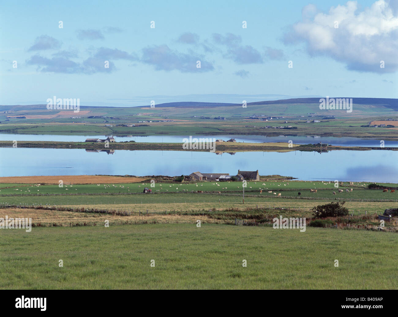 dh Loch of Stenness STENNESS ORKNEY Uk scotland Fields tranquil landscape summer farmland mainland landscapes Stock Photo