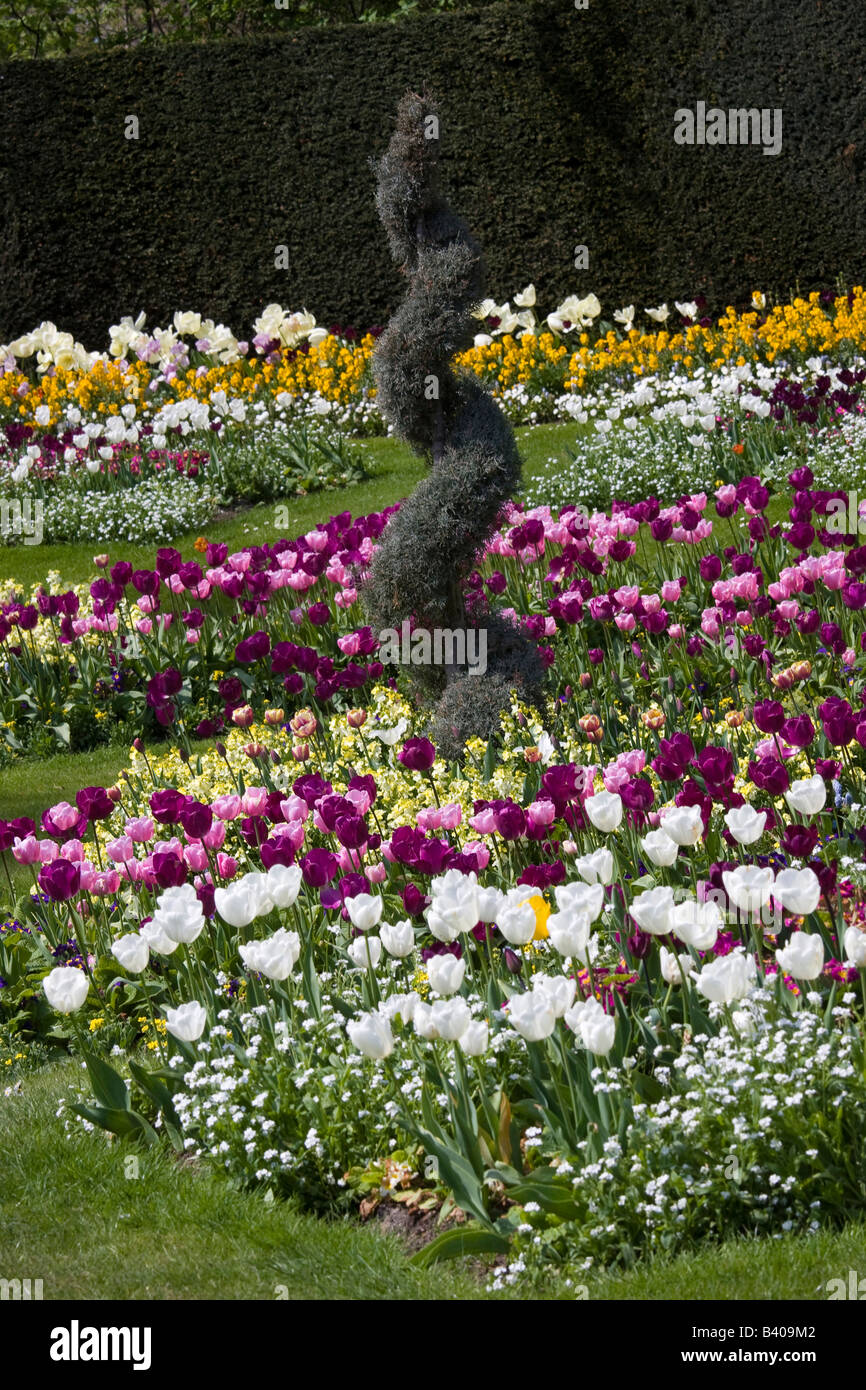 Formal flower bed hi-res stock photography and images - Alamy