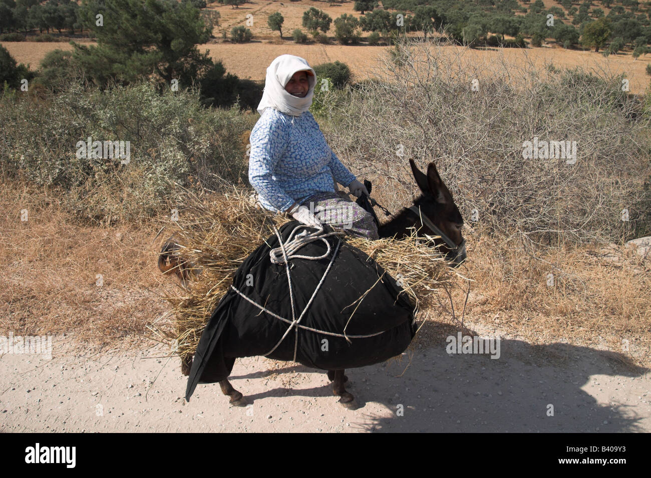 Turkish women on a donkey laden with a bundle of straw in rural countryside near Bodrum, Turkey Stock Photo