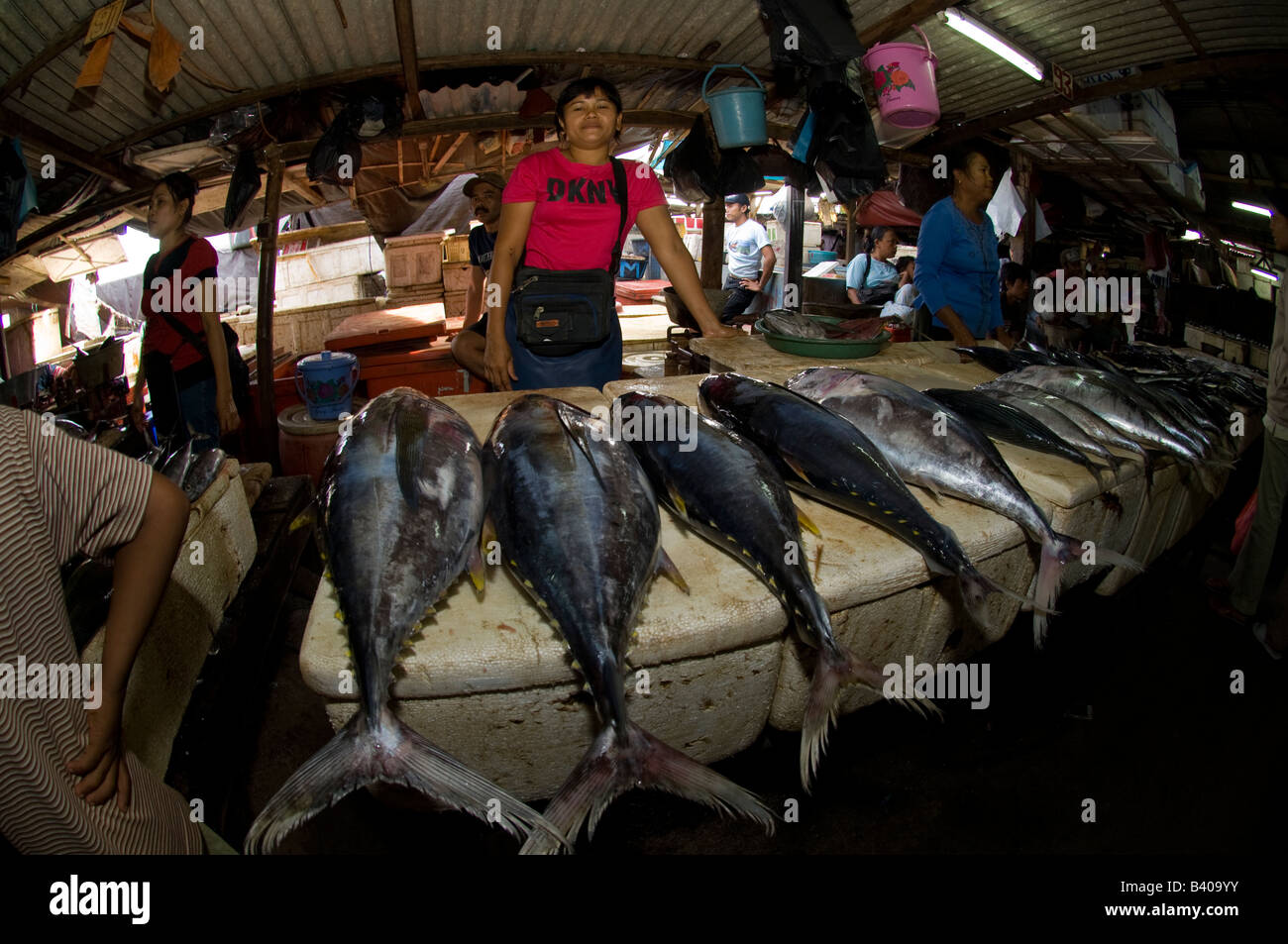 Unidentified tuna for sale in one of Bali s fish markets Stock Photo